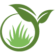 Rockville Lawn Clean Up