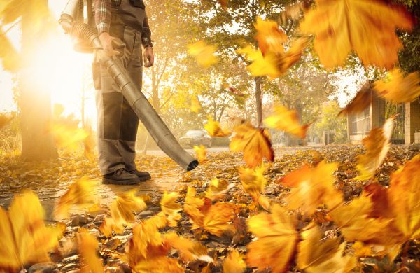 Leaf Blowing Service in Rockville