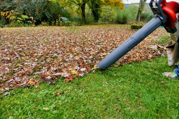Leaf Vacuuming Service in Rockville