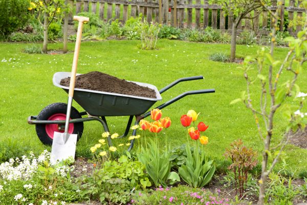 Spring Yard Cleanup in Rockville