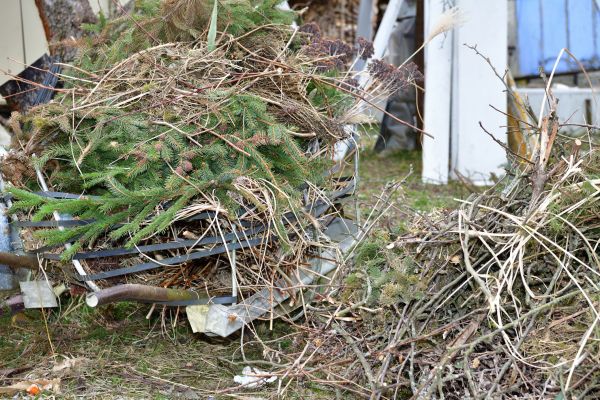 Yard Waste Removal Service in Rockville