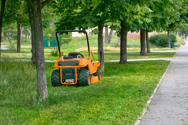 Landscaping Cleanup Service in Rockville