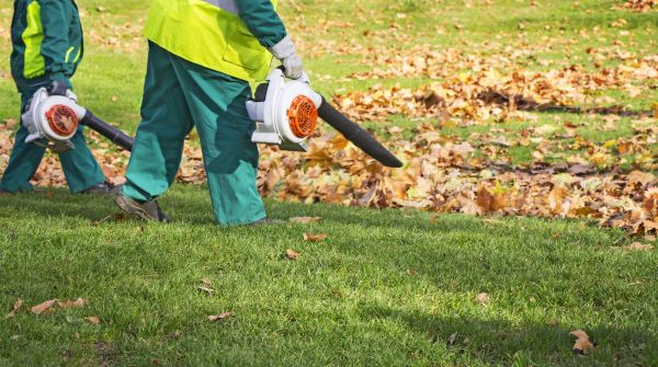Leaf Care