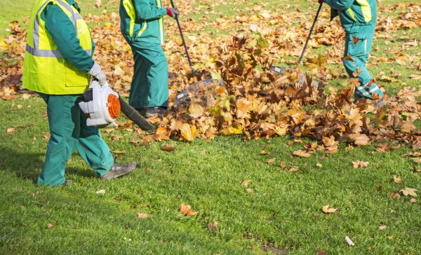 Leaf Maintenance in Rockville