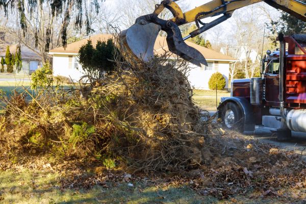 Storm Debris Removal in Rockville