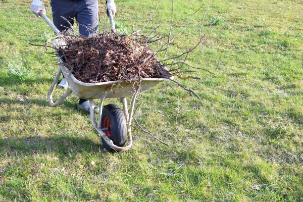 Yard Brush Removal in Rockville