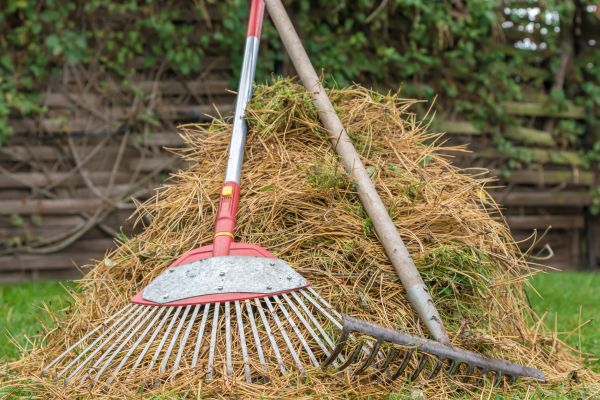 Pine Straw Clearing in Rockville