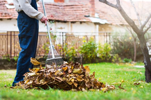 Spring Lawn Cleanup in Rockville