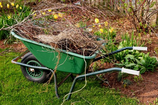 Lawn Waste Removal in Rockville