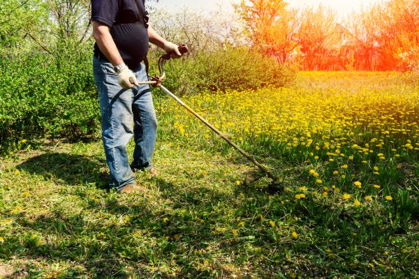 Yard Clearing Service in Rockville