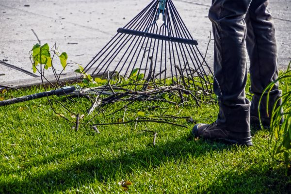 Yard Debris Cleanup in Rockville