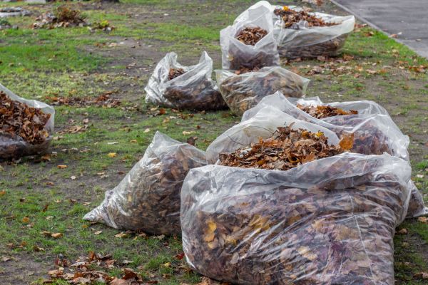 Leaf Pile Disposal in Rockville