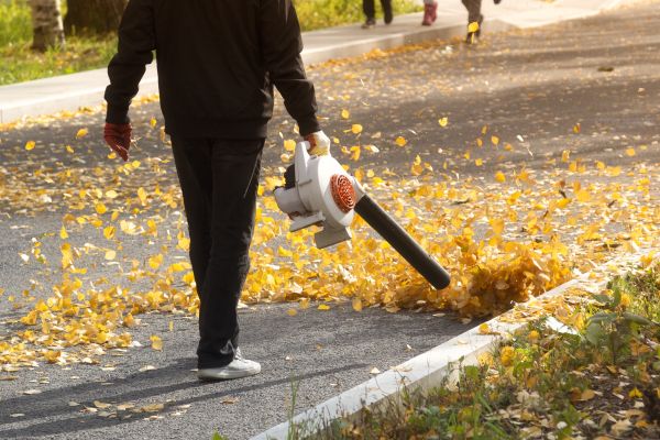 Commercial Leaf Removal in Rockville